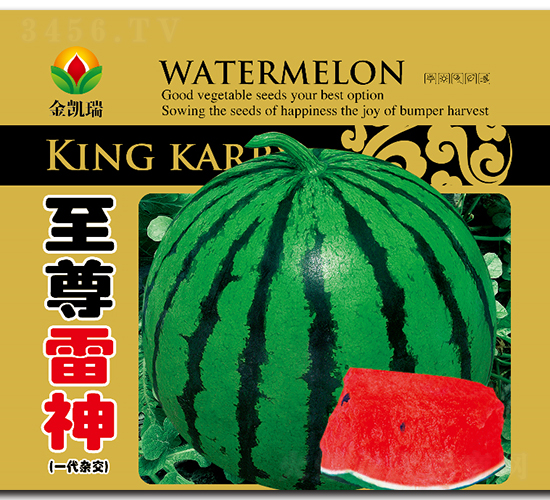 ��������-���ϷN��-���P��