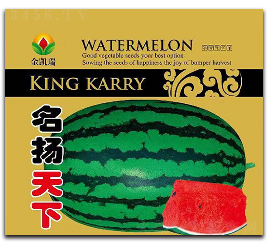 ���P����-���ϷN��-���P��