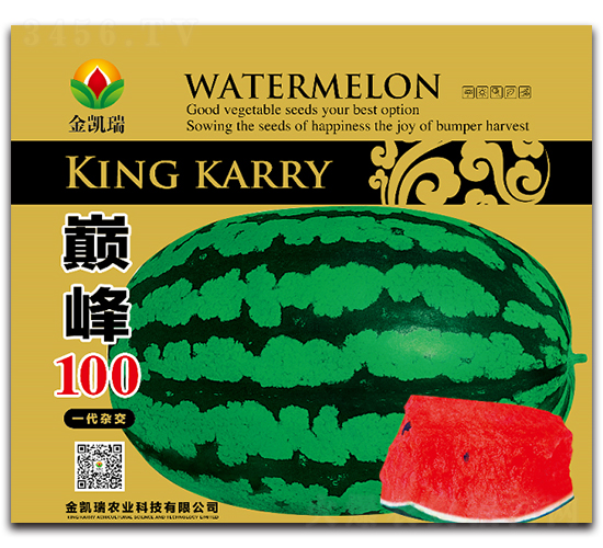 �p��100-���ϷN��-���P��