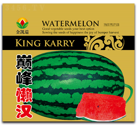 �p��Нh-���ϷN��-���P��