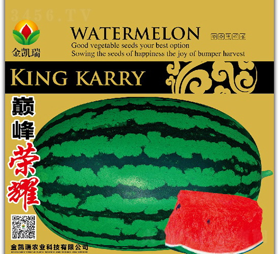 �p��sҫ-���ϷN��-���P��