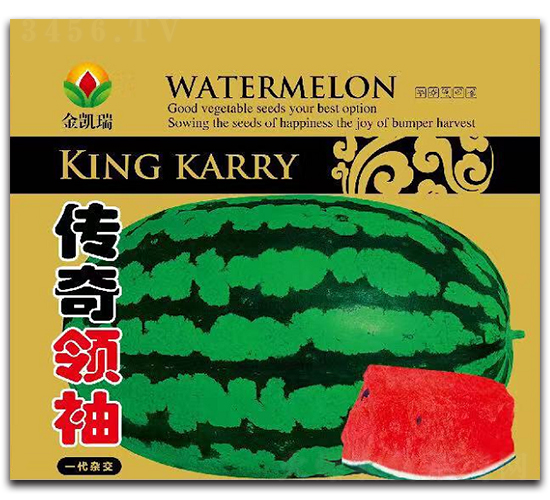 �����I(l��ng)��-���ϷN��-���P��