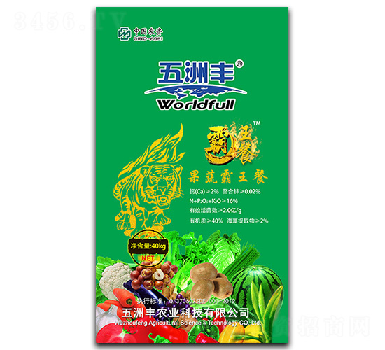 ��Ԫ����I(y��ng)�B(y��ng)��-���߰�����-�����S