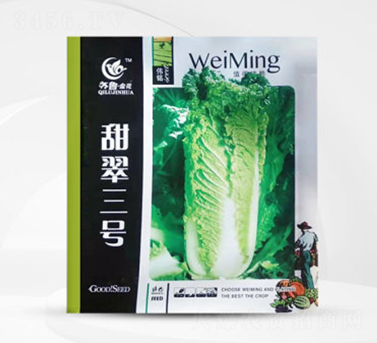 �����̖-�ײ˷N��-��㑷N�I(y��)