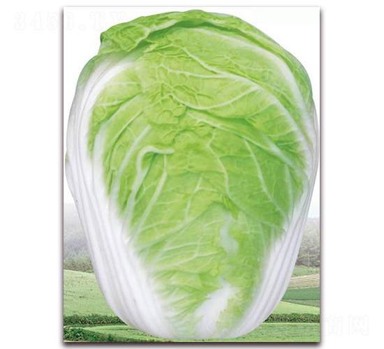 ������-�ײ˷N��-�����o(j��)