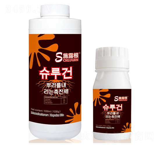 ʩ¶��-���Վ�����