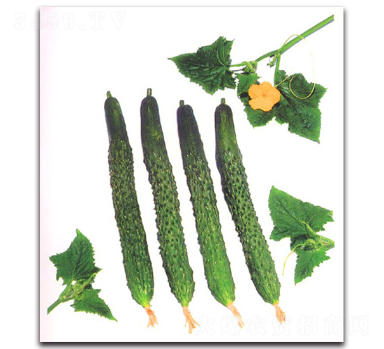 �L�����~�S��-�S�ϷN��-�r(n��ng)����