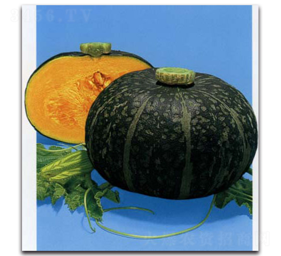 ����-�ϹϷN��-�r(n��ng)����