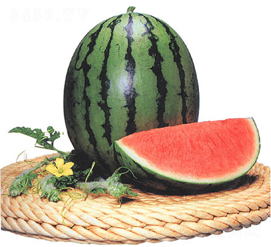 �ǎ쌚-���ϷN��-�r(n��ng)����