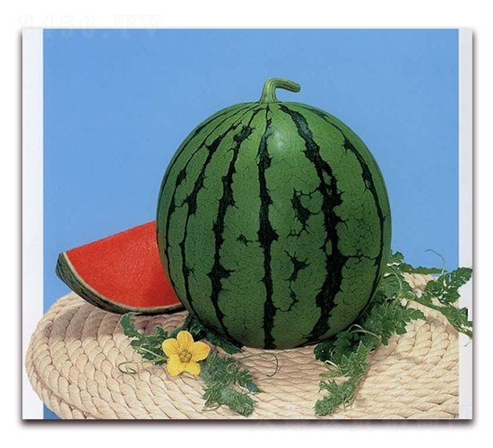 ���Ҽt-���ϷN��-�r(n��ng)����