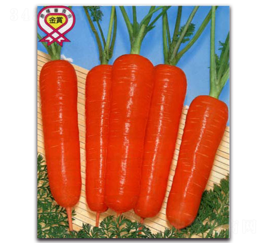 ��Խ�r�t���-���}���N��-�r(n��ng)����