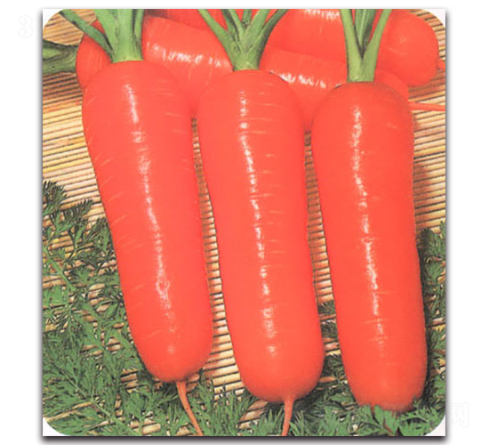 �и��������-���}���N��-�r(n��ng)����