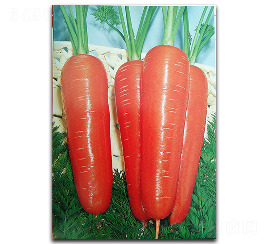 �����_-���}���N��-�r(n��ng)����