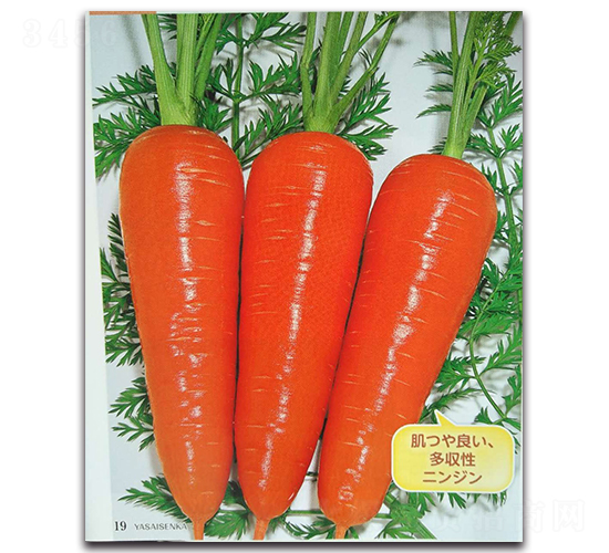 ����-���}���N��-�r(n��ng)����