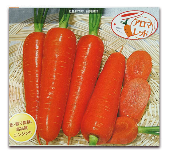 ������-���}���N��-�r(n��ng)����