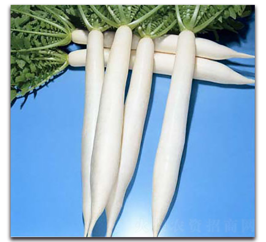 ��������-�}���N��-�r(n��ng)����