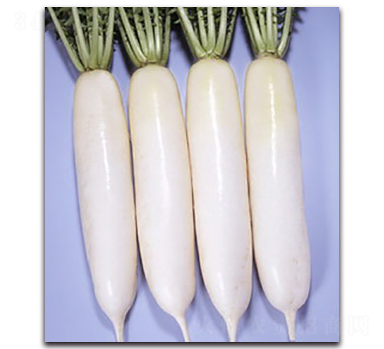 ��Ů-�}���N��-�r(n��ng)����