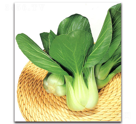 ����-�๣�˷N��-�r(n��ng)����