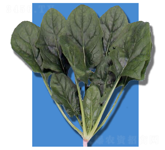 ����-���˷N��-�r(n��ng)����