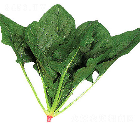 ����-���˷N��-�r(n��ng)����