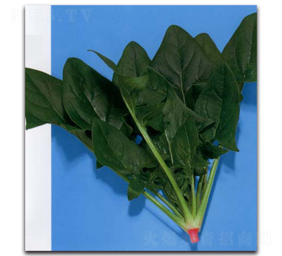 ���S-���˷N��-�r(n��ng)����