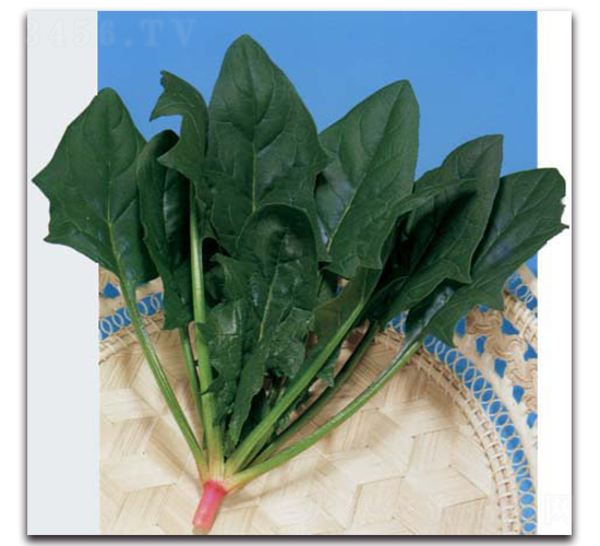 ���S-���˷N��-�r(n��ng)����