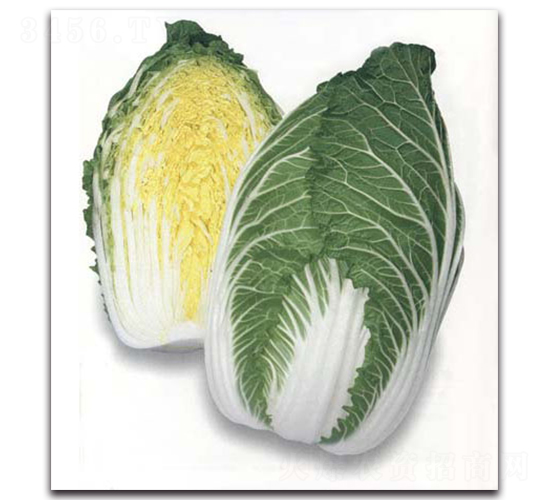 ���\-��ײ˷N��-�r(n��ng)����