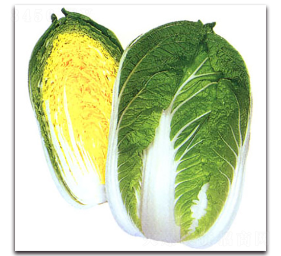 �Ͳ��츣-��ײ˷N��-�r(n��ng)����