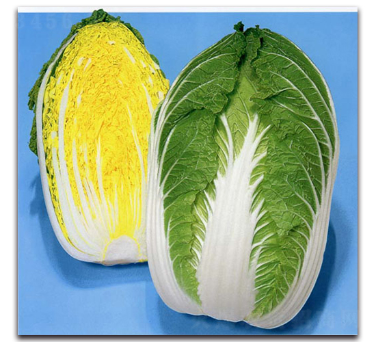 �츣���S-��ײ˷N��-�r(n��ng)����