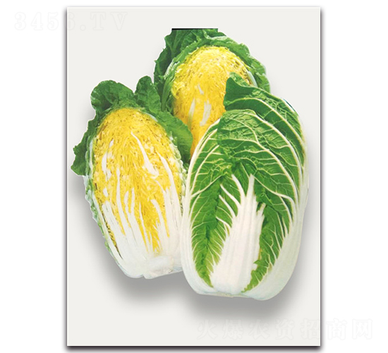 ���\-��ײ˷N��-�r(n��ng)����