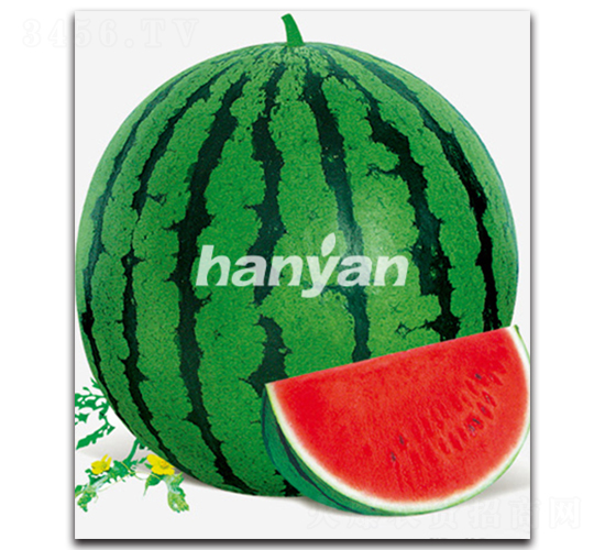 �h����̖(h��o)-���ϷN��-�h��