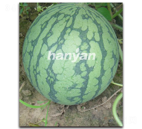 �h��8424����-���ϷN��-�h��