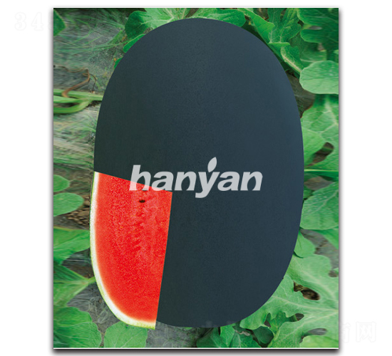 �hīһ̖-���ϷN��-�h��