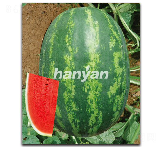 �h��-���ϷN��-�h��