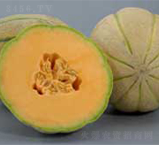 ��ľF1-��ϷN��-���N