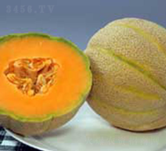 �Ҹ�F1-��ϷN��-���N