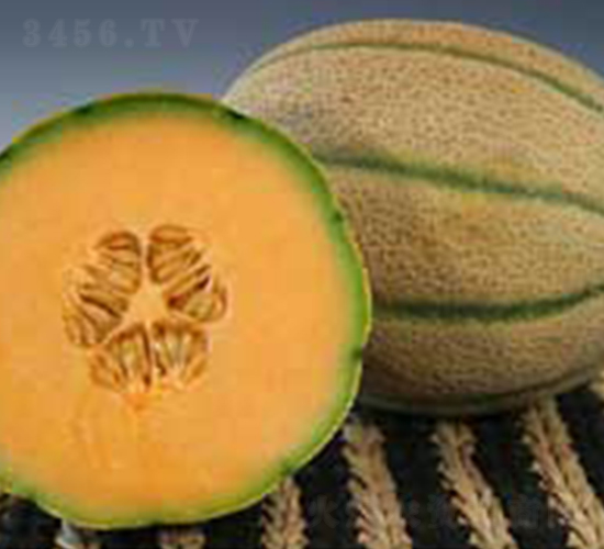 ���R��F1-��ϷN��-���N