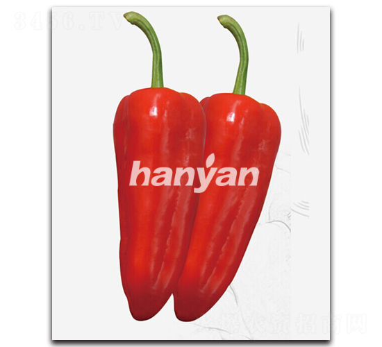 �h�T��̖(h��o)-�𽷷N��-�h��