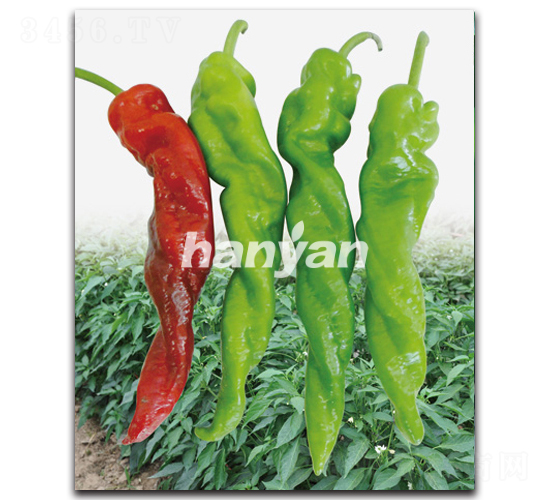 �h����̖(h��o)-�����N��-�h��