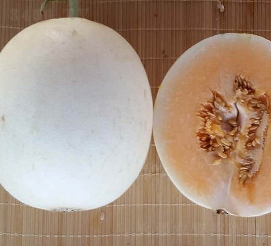 ����-��ϷN��-���N