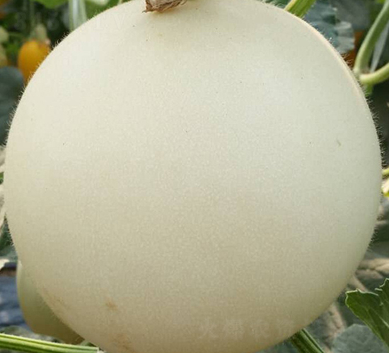 �d¡-��ϷN��-���N