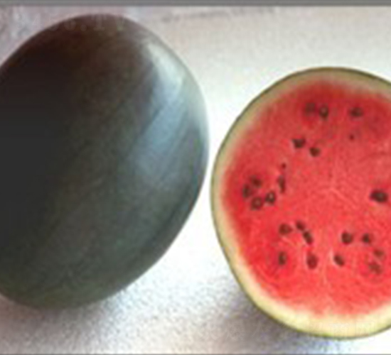 �ی�-���ϷN��-���N