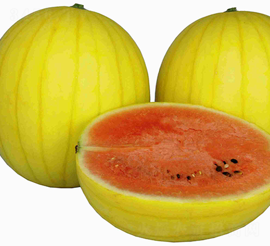 ��̫�-���ϷN��-���N