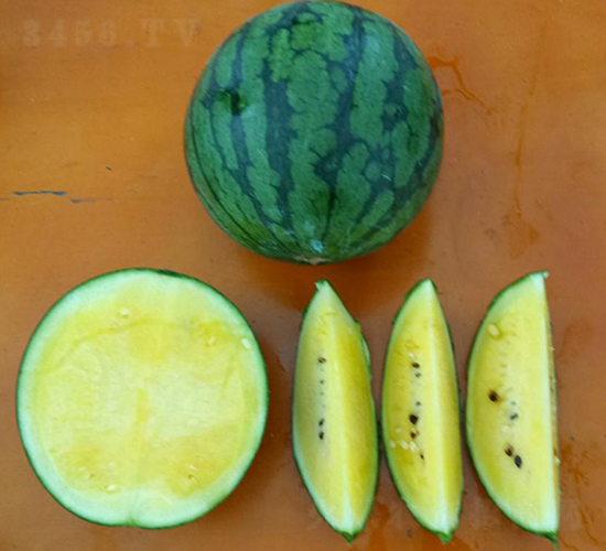 �P�m-���ϷN��-���N