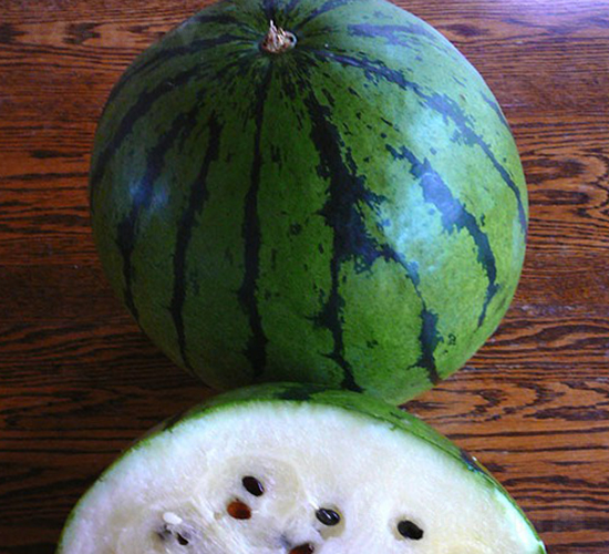 ����-���ϷN��-���N