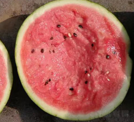 ����-���ϷN��-���N