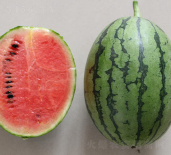 �t��-���ϷN��-���N