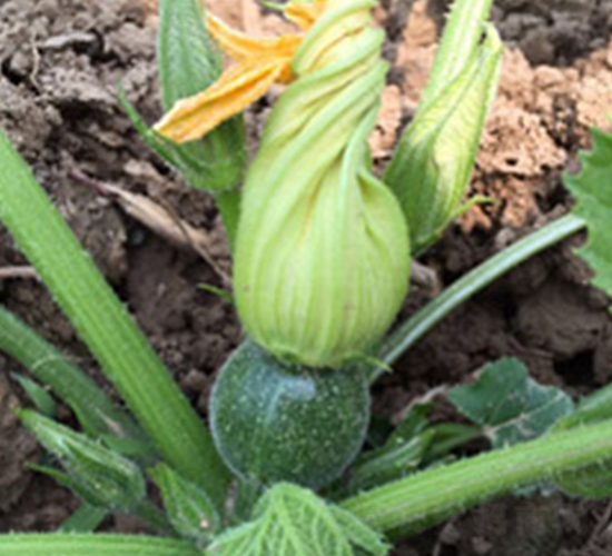 ��ɫ�����J��-�����J�N��-���N