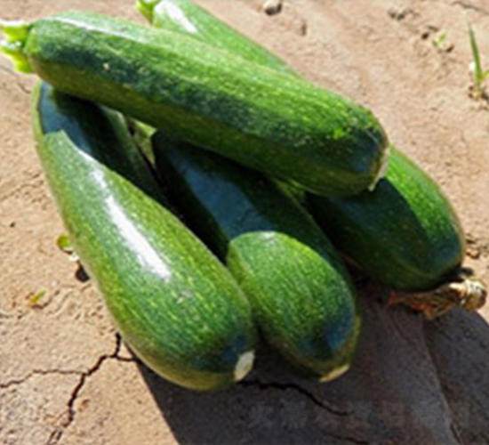 ��ɫ�����J��-�����J�N��-���N