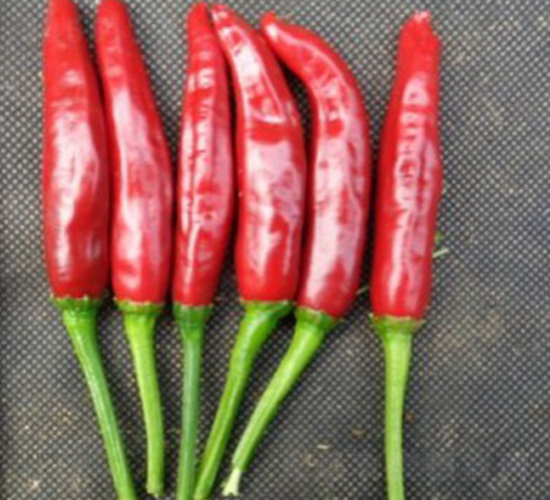 �n�r(n��ng)��̖(h��o)-���콷�N��-���N